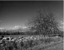 Six Acre Field