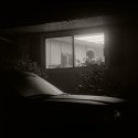 Foggy Yard 4