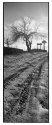 Road