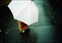 Rainy Days
