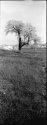 nevro01_2