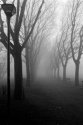 Foggy morning