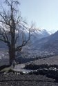 Nepal trail