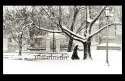 Winter, Washington, D.C.