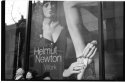 Helmut in New York City