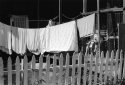 Clothes Line
