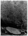 Quabbin - Sept 04