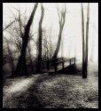 footbridge and fog