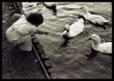 duck wrangler