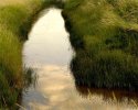 Reculver Ditch 1