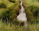 Reculver Ditch 2
