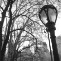 Central Park