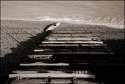 Ramp and canoe