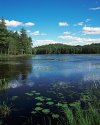 Heald Tract Lake
