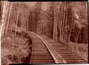 Wood flume