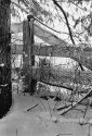 fence