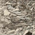 Mordancage Stream