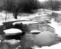 Bark River Merton