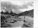 The Beck