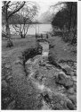 Lakeland Walk