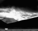 Lonely House