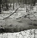 Pool@winter (II)