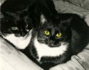 The Black and White Boys