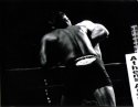 On the ropes...