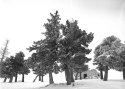 Sandia Cabin-2