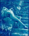 Cyanotype_01