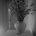 Waiting Room Flowers