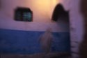 Morocco #1