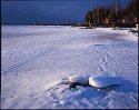 Melting the Ice