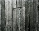 Barn Siding