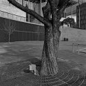 another tree