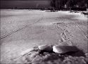 Melting Ice