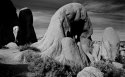 Petrified Pachyderms 2
