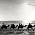 Broome