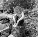 lump on a log