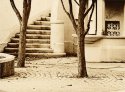 Sunnyside