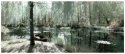 Springtime Monet's Garden