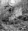 LostGarden
