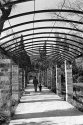 The Path