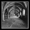 Cellarium