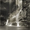 Rhouting Linn study