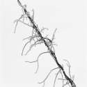 frost IV