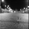 Fragile