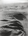 Silver waves