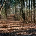 Hiking trail