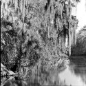 Florida Natural Area